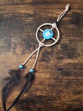 Hand-painted Eagle Feather Medecine Wall Hanging in Turquoise and Black